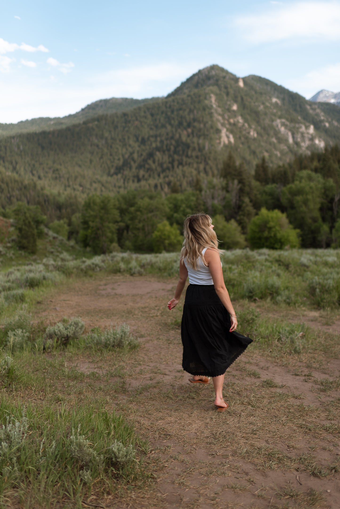 Davos Skirt