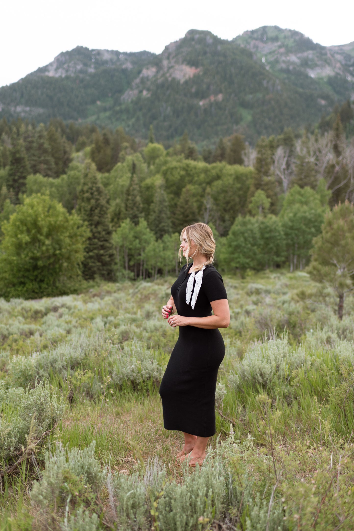 Winterthur Dress