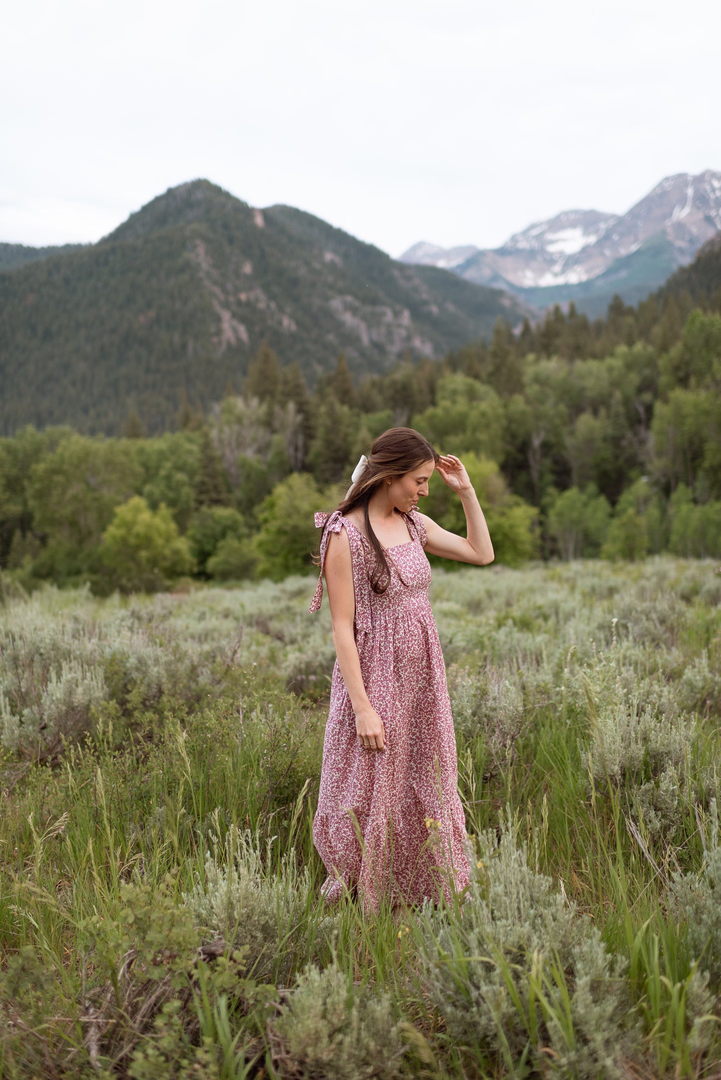 Annecy Dress