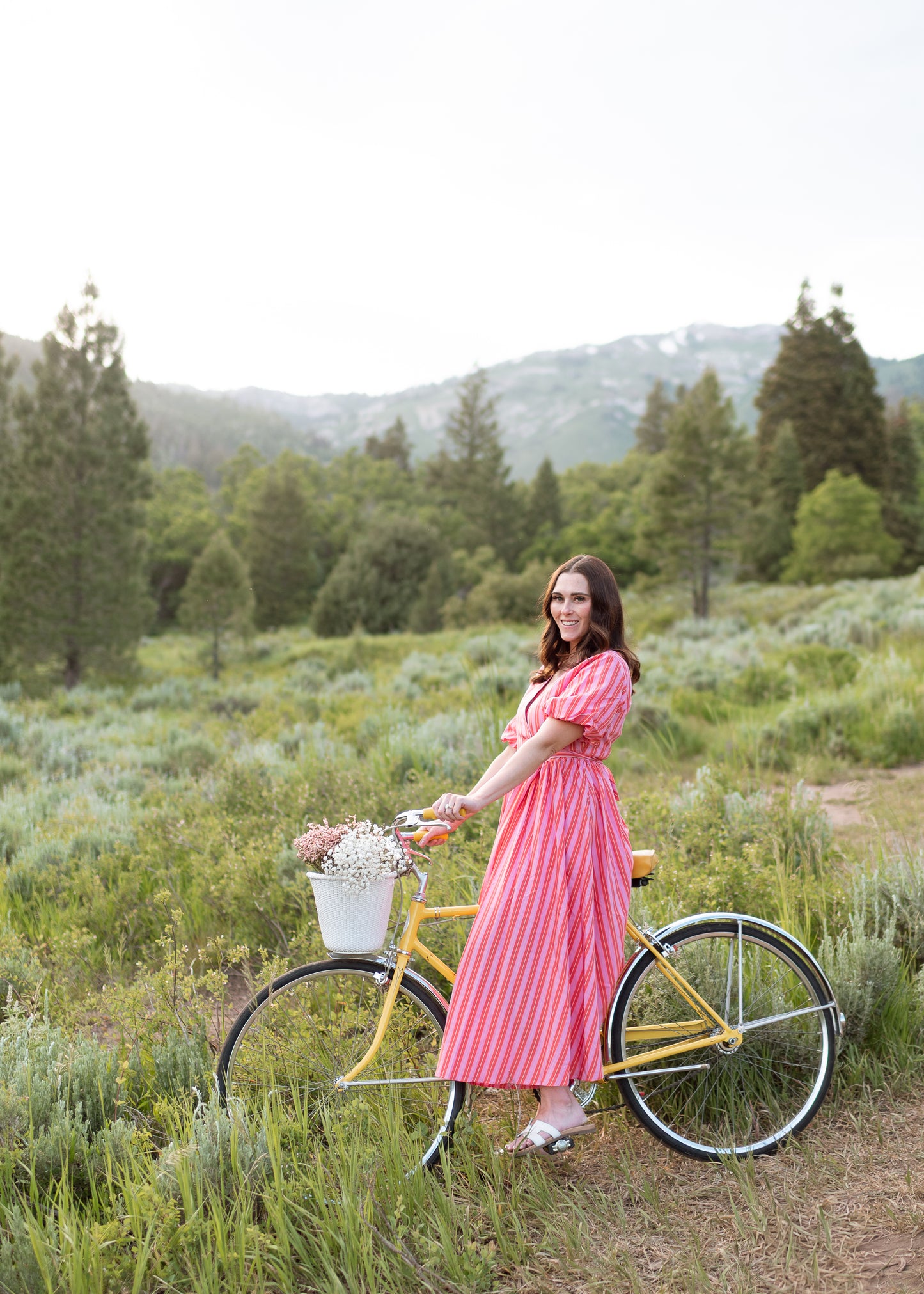 Chillon Dress