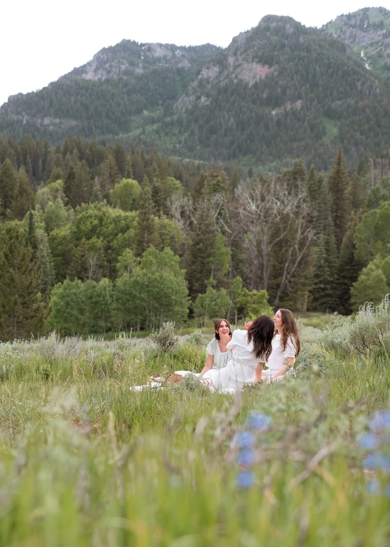 Friends laughing during a picnic in tall summer grass